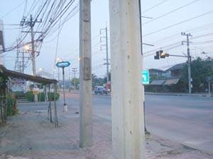 DSC02536