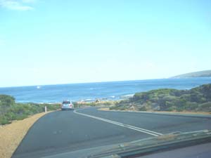 DSC00795