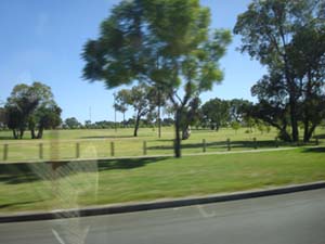 DSC00847