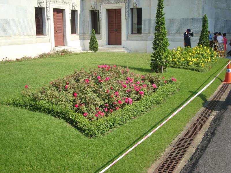 DSC01977