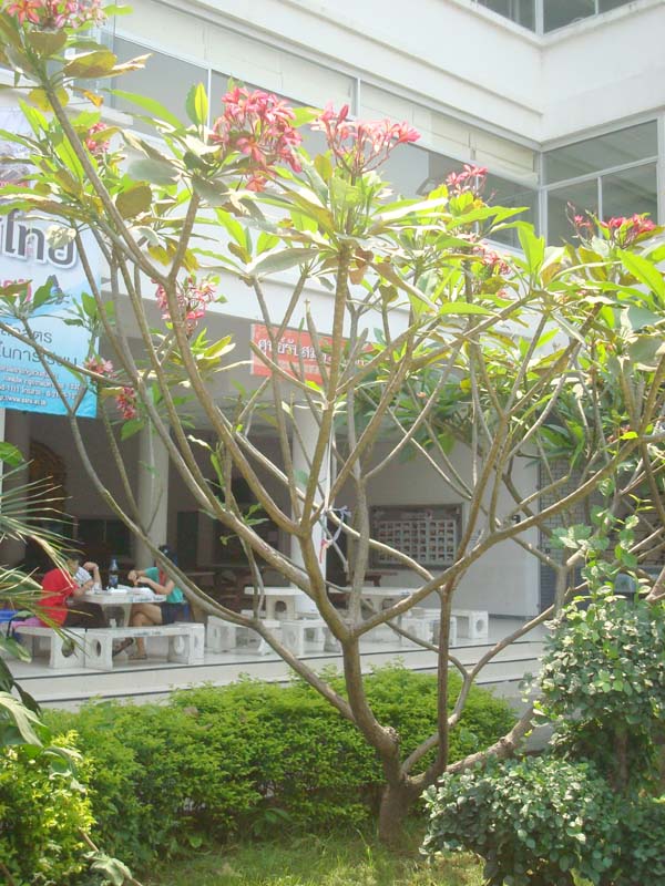 DSC02098