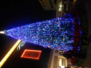 DSCN1274