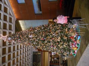 DSCN1282