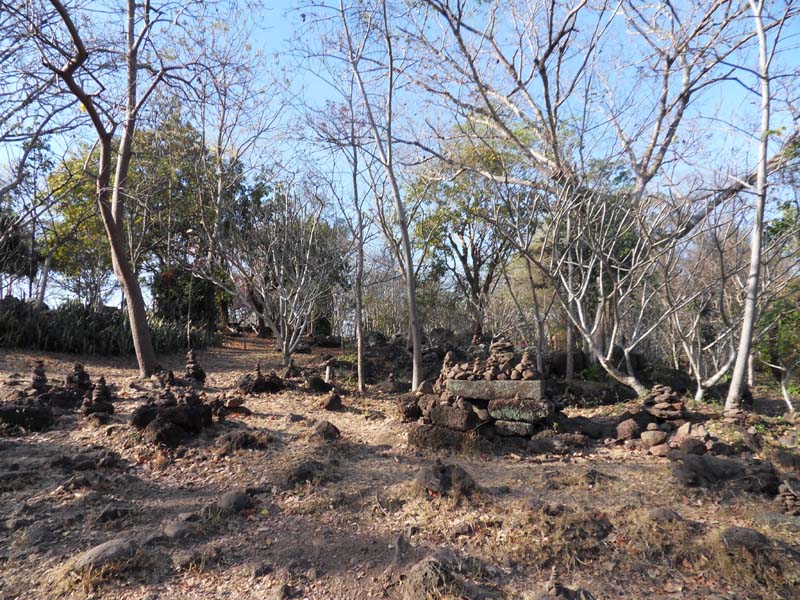 SDC10907