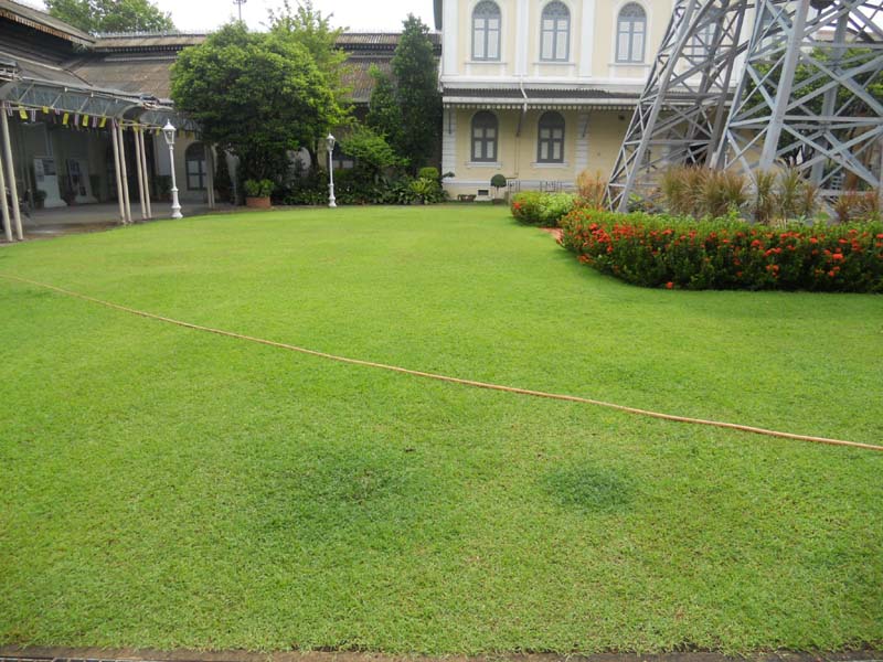 DSCN4757