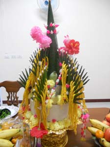 DSCN6952