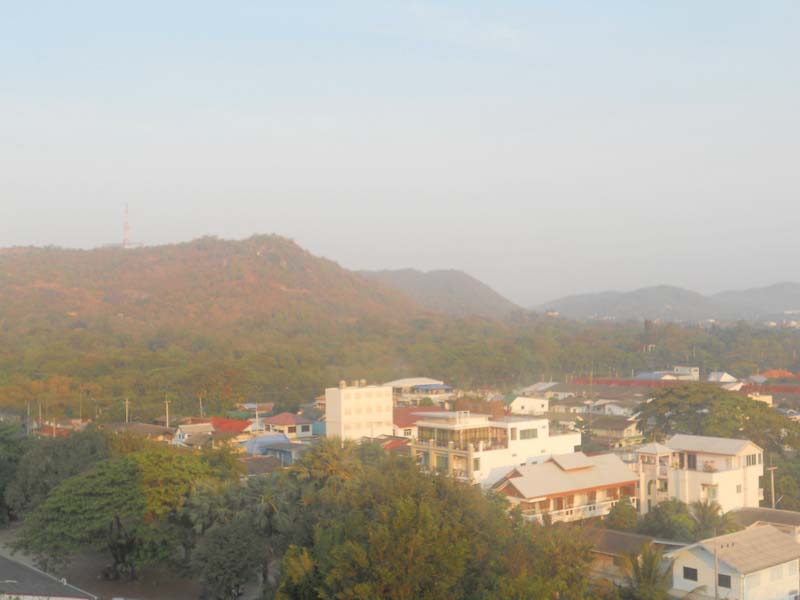 DSCN7980