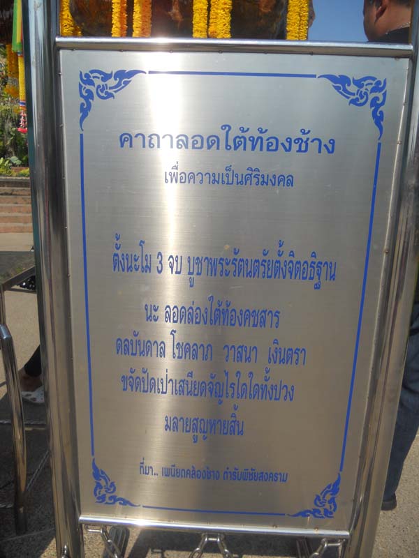 DSCN8016