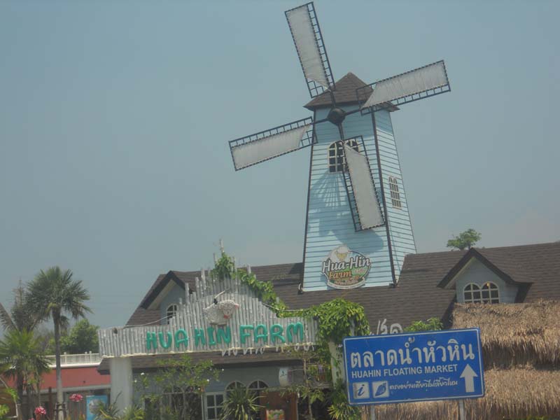 DSCN8048