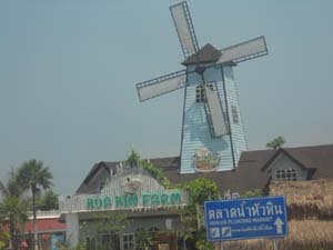 DSCN8048