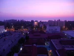 DSCN8081