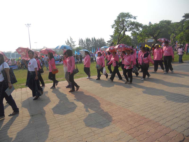 DSCN8145