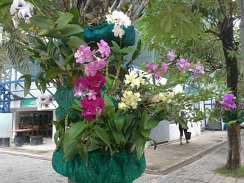 คำอธิบาย: 1403319239421