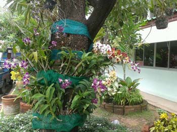 คำอธิบาย: 1403319243124