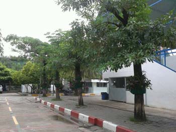 คำอธิบาย: 1403319245929