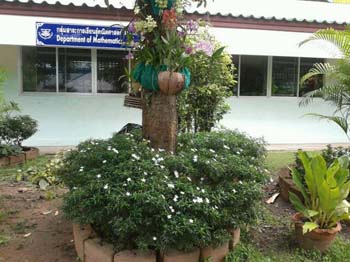 คำอธิบาย: 1403319248668