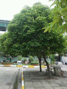 คำอธิบาย: 1403319576373